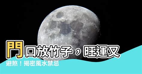 門口放竹子|【竹與風水】家裏養竹子有什麼講究 